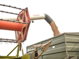 Аграрії Черкащини завершують жнива: регіон наблизився до рекордних показників