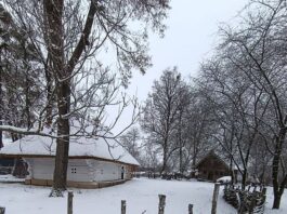 Зима у Моринцях на Черкащині: перший сніг огорнув Батьківщину Тараса Шевченка