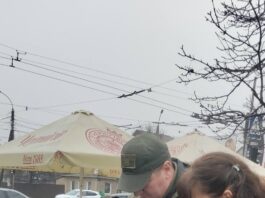 В Черкасах вже виявили нелегальні ялинки