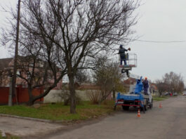 Як енергетики Черкащини проводять не лише аварійні, а й планові роботи