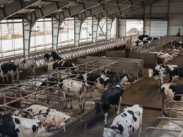 Аграрії Черкащини отримали часткову компенсацію за будівництво ферм