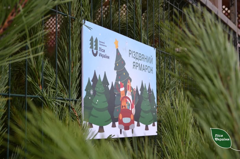 ялинка ялинка