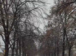 Ідеї для незабутніх вихідних у Черкасах на 24 та 25 січня