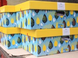 Календар щеплень у Пакунку малюка: допомога черкаським родинам