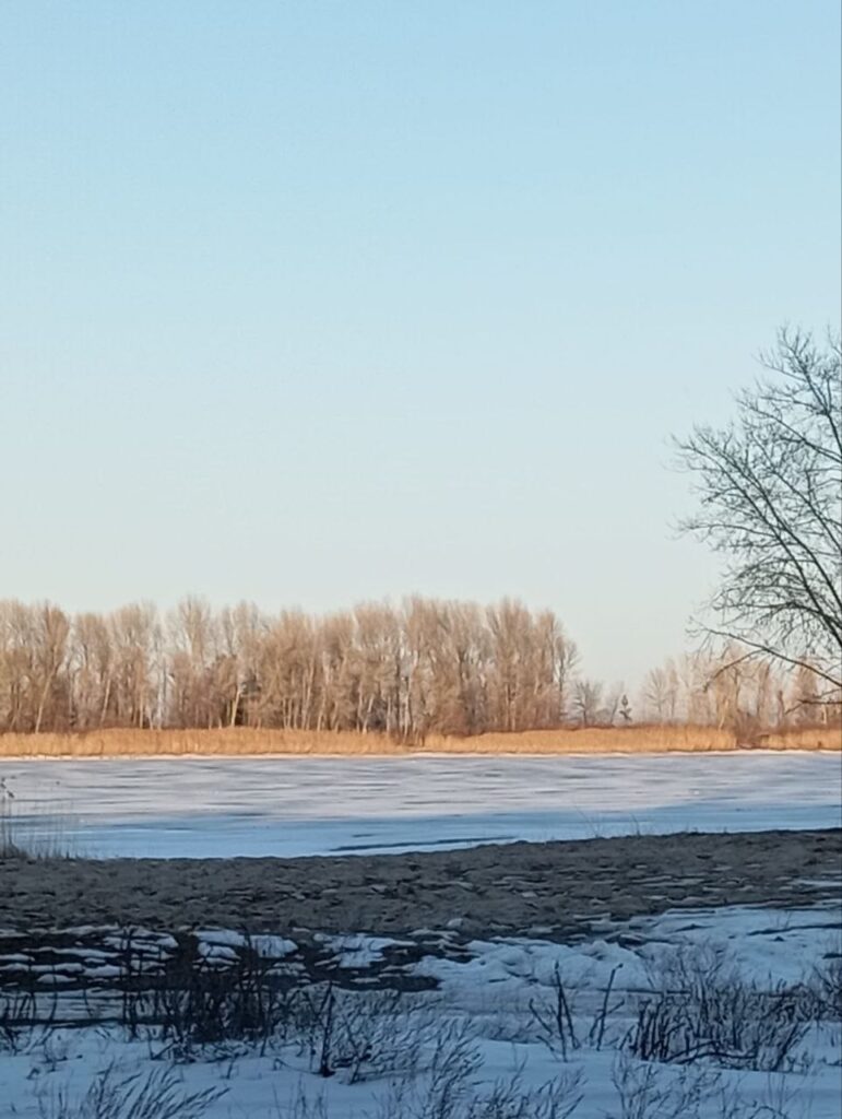 Стан повітря в Черкасах: що показали заміри минулого тижня